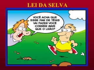 LEI DA SELVA 