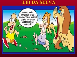 LEI DA SELVA 