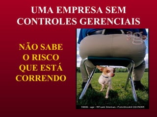 UMA EMPRESA SEM CONTROLES GERENCIAIS NÃO SABE O RISCO QUE ESTÁ CORRENDO 