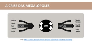 A CRISE DAS MEGALÓPOLES
Fonte: What is Green Urbanism? Holistic Principles to Transform Cities for Sustainability
 