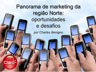 Panorama de marketing da
      região Norte:
     oportunidades
        e desafios
      por Charles Benigno
 