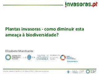 Online, desde Coimbra | 21 Maio 2021 | Plantas invasoras
Plantas invasoras - como diminuir esta
ameaça à biodiversidade?
Elizabete Marchante
Embaixadora
 