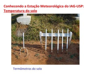 Conhecendo a Estação Meteorológica do IAG-USP: 
Temperatura do solo 
Termômetros do solo 
 