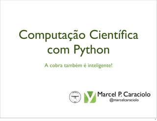 Computação Cientíﬁca
   com Python
    A cobra também é inteligente!




                                    1
 