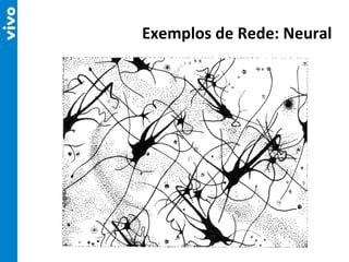 Exemplos de Rede: Neural 