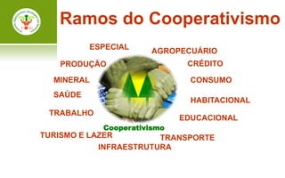 Ramos do Cooperativismo
          ESPECIAL
                       AGROPECUÁRIO
   PRODUÇÃO                   CRÉDITO

  MINERAL                      CONSUMO
  SAÚDE
                               HABITACIONAL
 TRABALHO
                             EDUCACIONAL
            Cooperativismo
TURISMO E LAZER         TRANSPORTE
            INFRAESTRUTURA
 