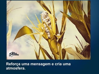 Reforça uma mensagem e cria uma atmosfera. 