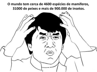 O mundo tem cerca de 4600 espécies de mamíferos,
31000 de peixes e mais de 900.000 de insetos.
 