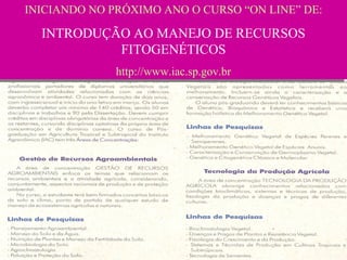 INICIANDO NO PRÓXIMO ANO O CURSO “ON LINE” DE:
INICIANDO NO PRÓXIMO ANO O CURSO “ON LINE” DE:

INTRODUÇÃO AO MANEJO DE RECURSOS
INTRODUÇÃO AO MANEJO DE RECURSOS
FITOGENÉTICOS
FITOGENÉTICOS
http://www.iac.sp.gov.br
http://www.iac.sp.gov.br

 