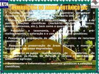 * Coletar, aclimatar, domesticar, regenerar,
conservar os recursos genéticos e o Herbário IAC;

propagar

e

* Efetuar a introdução e o intercambio, de germoplasma e de
outras coleções científicas (Herbário, Rhizobium, insetos,
microorganismos, etc.), bem como a quarentena de plantas;
*
Pesquisar
a
taxonomia,
a
caracterização,
o
prémelhoramento, a valoração e o uso dos recursos genéticos;
* Pesquisar a propagação de plantas e sementes de recursos
genéticos;
* Pesquisar a preservação de áreas naturais, o manejo e
recuperação de áreas degradadas;
*
Coordenar as ações
institucionais
de
Curadorias,
de
Quarentena, de Museu, de Parques e Jardins e de Educação
ambiental agrícola;
* Documentar e Informatizar os recursos genéticos e coleções
científicas;

 