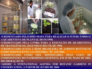 •CREDENCIADO PELO DDIV/MAPA PARA REALIZAR O INTERCÂMBIO E
A QUARENTENA DE PLANTAS, DO 91/1998.
•CREDENCIADO PELA CTNBio PARA A EXECUÇÃO DE QUARENTENA
DE TRANSGÊNICOS, SEGUNDO O DO 170, DE 1998.
•CREDENCIADO JUNTO À REDE BRASILEIRA DE JARDINS BOTÂNICOS
COMO PERTENCENTE A CATEGORIA "B", EM 2002.
•CREDENCIADO COMO FIEL DEPOSITÁRIO, PELO CGEN, DE
COMPONENTES DO PATRIMÔNIO GENÉTICO, EM 29 DE MAIO DE 2003,
DELIBERAÇÃO 29.
•ADERIU À INTENATIONAL AGENDA FOR BOTANIC GARDENS IN
CONSERVATION, A PARTIR DE JULHO DE 2004

 
