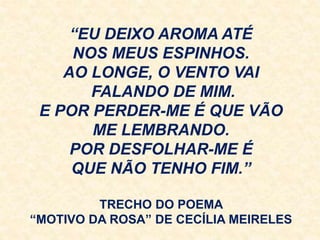 “EU DEIXO AROMA ATÉ
NOS MEUS ESPINHOS.
AO LONGE, O VENTO VAI
FALANDO DE MIM.
E POR PERDER-ME É QUE VÃO
ME LEMBRANDO.
POR DESFOLHAR-ME É
QUE NÃO TENHO FIM.”
TRECHO DO POEMA
“MOTIVO DA ROSA” DE CECÍLIA MEIRELES
 