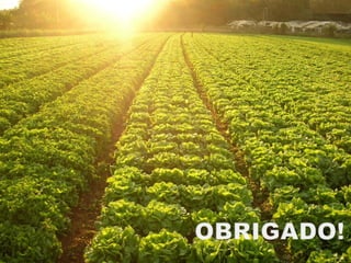 Perguntas?




     Daniel.ghovatto@primeaction.com
                    (11) 3927-3100




27
 