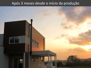 Após 3 meses desde o início da produção




               www.tecverde.com.br
 