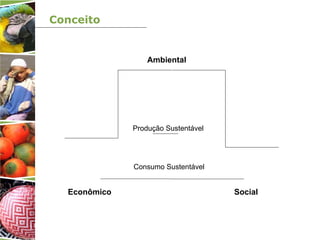 Conceito
Ambiental
Econômico Social
Consumo Sustentável
Produção Sustentável
 
