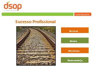 Sucesso Profissional Escolhas Atitude Disciplina Perseverança 