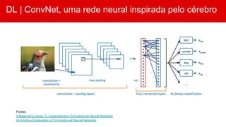DL | ConvNet, uma rede neural inspirada pelo cérebro
Fontes :
A Beginner's Guide To Understanding Convolutional Neural Networks
An Intuitive Explanation of Convolutional Neural Networks
 