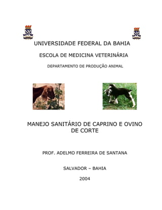 UNIVERSIDADE FEDERAL DA BAHIA

   ESCOLA DE MEDICINA VETERINÁRIA

      DEPARTAMENTO DE PRODUÇÃO ANIMAL




MANEJO SANITÁRIO DE CAPRINO E OVINO
             DE CORTE



    PROF. ADELMO FERREIRA DE SANTANA


            SALVADOR – BAHIA

                   2004
 