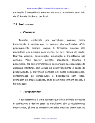 11
            MANEJO SANITÁRIO DE CAPRINO E OVINO DE CORTE

vacinação é aconselhada em caso de morte de animais, num raio
de 15 km de distância do local.


7.3 Protozooses


      • Eimeriose


     Também       conhecida         por    coccidiose.       Assume         maior
importância à medida que os animais são confinados. Afeta
principalmente    animais        jovens.    A       Eimeriose     provoca     alta
morbidade em animais com menos de seis meses de idade.
Diarréia, anemia, desidratação, emaciação e inapetência são
comuns.    Pode        ocorrer     infecção         secundária,    levando      à
pneumonia. Há comprometimento permanente da capacidade de
absorção intestinal, com atraso no desenvolvimento e queda de
produtividade. A prevenção consiste em evitar superpopulação,
contaminação      de     comedouros        e    bebedouros         com      fezes,
drenagem de áreas alagadas, onde os animais tenham acesso, e
higienização.


      • Toxoplasmose


     A toxoplasmose é uma zoonose que afeta animais silvestres
e domésticos e dentre estes os herbívoros são particularmente
importantes, já que se contaminam pelos oocistos eliminados no



                       Adelmo Ferreira de Santana
 