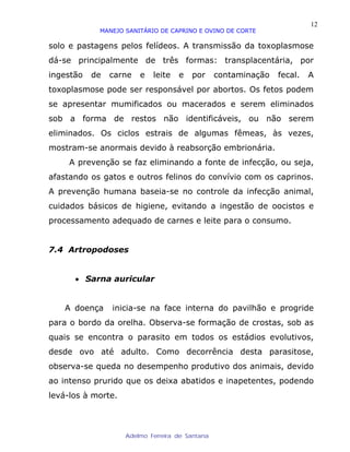 12
            MANEJO SANITÁRIO DE CAPRINO E OVINO DE CORTE

solo e pastagens pelos felídeos. A transmissão da toxoplasmose
dá-se principalmente de três formas: transplacentária, por
ingestão   de   carne   e   leite   e   por      contaminação   fecal.   A
toxoplasmose pode ser responsável por abortos. Os fetos podem
se apresentar mumificados ou macerados e serem eliminados
sob a forma de restos não identificáveis, ou não serem
eliminados. Os ciclos estrais de algumas fêmeas, às vezes,
mostram-se anormais devido à reabsorção embrionária.
     A prevenção se faz eliminando a fonte de infecção, ou seja,
afastando os gatos e outros felinos do convívio com os caprinos.
A prevenção humana baseia-se no controle da infecção animal,
cuidados básicos de higiene, evitando a ingestão de oocistos e
processamento adequado de carnes e leite para o consumo.


7.4 Artropodoses


      • Sarna auricular


    A doença    inicia-se na face interna do pavilhão e progride
para o bordo da orelha. Observa-se formação de crostas, sob as
quais se encontra o parasito em todos os estádios evolutivos,
desde ovo até adulto. Como decorrência desta parasitose,
observa-se queda no desempenho produtivo dos animais, devido
ao intenso prurido que os deixa abatidos e inapetentes, podendo
levá-los à morte.



                    Adelmo Ferreira de Santana
 