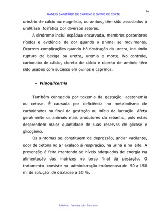 16
              MANEJO SANITÁRIO DE CAPRINO E OVINO DE CORTE

urinário de cálcio ou magnésio, ou ambos, têm sido associados à
urolitíase fosfática por diversos setores.
     A síndrome inclui espádua encurvada, membros posteriores
rígidos e evidência de dor quando o animal se movimenta.
Ocorrem complicações quando há obstrução da uretra, incluindo
ruptura de bexiga ou uretra, uremia e morte. No controle,
carbonato de cálcio, cloreto de cálcio e cloreto de amônio têm
sido usados com sucesso em ovinos e caprinos.


      • Hipoglicemia


     Também conhecida por toxemia da gestação, acetonemia
ou cetose. É causada por deficiência no metabolismo de
carboidratos no final da gestação ou início da lactação. Afeta
geralmente os animais mais produtores do rebanho, pois estes
desprendem maior quantidade de suas reservas de glicose e
glicogênio.
     Os sintomas se constituem de depressão, andar vacilante,
odor de cetona no ar exalado à respiração, na urina e no leite. A
prevenção é feita mantendo-se níveis adequados de energia na
alimentação    das   matrizes      no   terço     final   da   gestação.   O
tratamento consiste na administração endovenosa de 50 a 150
ml de solução de dextrose a 50 %.




                     Adelmo Ferreira de Santana
 