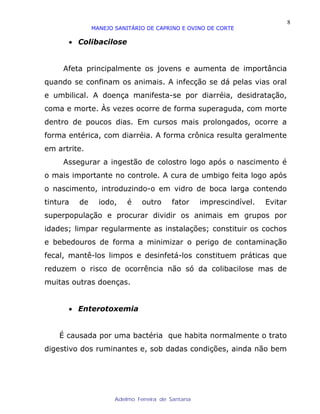8
               MANEJO SANITÁRIO DE CAPRINO E OVINO DE CORTE

      • Colibacilose


     Afeta principalmente os jovens e aumenta de importância
quando se confinam os animais. A infecção se dá pelas vias oral
e umbilical. A doença manifesta-se por diarréia, desidratação,
coma e morte. Às vezes ocorre de forma superaguda, com morte
dentro de poucos dias. Em cursos mais prolongados, ocorre a
forma entérica, com diarréia. A forma crônica resulta geralmente
em artrite.
     Assegurar a ingestão de colostro logo após o nascimento é
o mais importante no controle. A cura de umbigo feita logo após
o nascimento, introduzindo-o em vidro de boca larga contendo
tintura   de     iodo,    é    outro     fator     imprescindível.   Evitar
superpopulação e procurar dividir os animais em grupos por
idades; limpar regularmente as instalações; constituir os cochos
e bebedouros de forma a minimizar o perigo de contaminação
fecal, mantê-los limpos e desinfetá-los constituem práticas que
reduzem o risco de ocorrência não só da colibacilose mas de
muitas outras doenças.


      • Enterotoxemia


    É causada por uma bactéria que habita normalmente o trato
digestivo dos ruminantes e, sob dadas condições, ainda não bem




                      Adelmo Ferreira de Santana
 