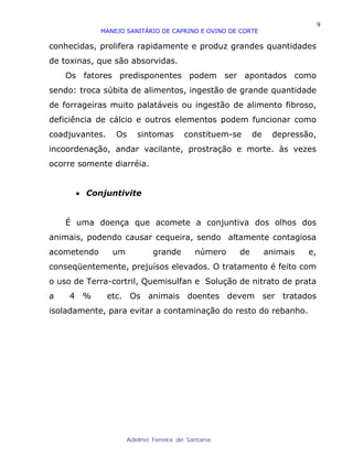 9
             MANEJO SANITÁRIO DE CAPRINO E OVINO DE CORTE

conhecidas, prolifera rapidamente e produz grandes quantidades
de toxinas, que são absorvidas.
    Os fatores predisponentes podem ser apontados como
sendo: troca súbita de alimentos, ingestão de grande quantidade
de forrageiras muito palatáveis ou ingestão de alimento fibroso,
deficiência de cálcio e outros elementos podem funcionar como
coadjuvantes.    Os      sintomas      constituem-se     de    depressão,
incoordenação, andar vacilante, prostração e morte. às vezes
ocorre somente diarréia.


      • Conjuntivite


    É uma doença que acomete a conjuntiva dos olhos dos
animais, podendo causar cequeira, sendo altamente contagiosa
acometendo       um           grande       número   de        animais   e,
conseqüentemente, prejuísos elevados. O tratamento é feito com
o uso de Terra-cortril, Quemisulfan e Solução de nitrato de prata
a   4 %         etc. Os animais doentes devem ser tratados
isoladamente, para evitar a contaminação do resto do rebanho.




                      Adelmo Ferreira de Santana
 
