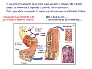 O intestino tem a função de separar o que vai para o sangue, isto é deixar
   passar os nutrientes e jogar fora o que não vamos aproveitar.
   Esta capacidade de seleção do intestino é chamada permeabilidade intestinal.

Então podemos comer de tudo,              Não é bem assim.......
que depois o intestino resolve?           Tudo depende do que comemos.....
 