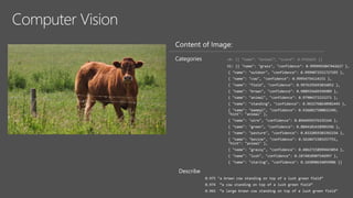 Computer Vision
Content of Image:
Categories v0: [{ “name”: “animal”, “score”: 0.9765625 }]
V1: [{ "name": "grass", "confidence": 0.9999992847442627 },
{ "name": "outdoor", "confidence": 0.9999072551727295 },
{ "name": "cow", "confidence": 0.99954754114151 },
{ "name": "field", "confidence": 0.9976195693016052 },
{ "name": "brown", "confidence": 0.988935649394989 },
{ "name": "animal", "confidence": 0.97904372215271 },
{ "name": "standing", "confidence": 0.9632768630981445 },
{ "name": "mammal", "confidence": 0.9366017580032349,
"hint": "animal" },
{ "name": "wire", "confidence": 0.8946959376335144 },
{ "name": "green", "confidence": 0.8844101428985596 },
{ "name": "pasture", "confidence": 0.8332059383392334 },
{ "name": "bovine", "confidence": 0.5618471503257751,
"hint": "animal" },
{ "name": "grassy", "confidence": 0.48627158999443054 },
{ "name": "lush", "confidence": 0.1874018907546997 },
{ "name": "staring", "confidence": 0.165890634059906 }]
Describe
0.975 "a brown cow standing on top of a lush green field“
0.974 “a cow standing on top of a lush green field”
0.965 “a large brown cow standing on top of a lush green field”
 