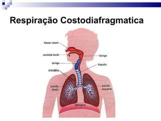 Respiração Costodiafragmatica
 