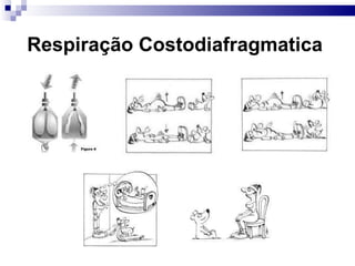 Respiração Costodiafragmatica
 