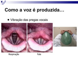 Como a voz é produzida…
Respiração Fala
 Vibração das pregas vocais
 