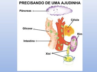 PRECISANDO DE UMA AJUDINHA
Xixi
Intestino
Rim
Célula
Glicose
Pâncreas
 
