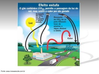  
Fonte: www.nossaescola.com.br    
 