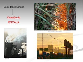 Sociedade Humana



     Questão de
       ESCALA




 Veja.com
                    
 