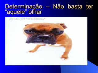 Determinação – Não basta ter “aquele” olhar 