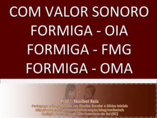 COM VALOR SONORO FORMIGA - OIA FORMIGA - FMG FORMIGA - OMA 
