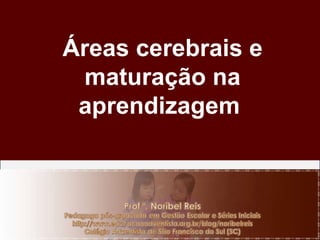 Áreas cerebrais e maturação na aprendizagem  