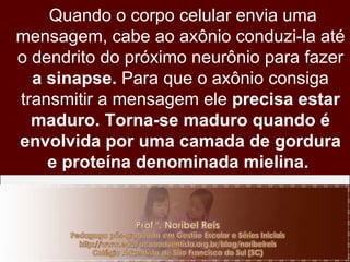 Quando o corpo celular envia uma mensagem, cabe ao axônio conduzi-la até o dendrito do próximo neurônio para fazer  a sinapse.  Para que o axônio consiga transmitir a mensagem ele  precisa estar maduro. Torna-se maduro quando é envolvida por uma camada de gordura e proteína denominada mielina.  