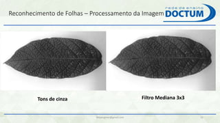 Reconhecimento de Folhas – Processamento da Imagem
felipengmec@gmail.com 32
Tons de cinza Filtro Mediana 3x3
 