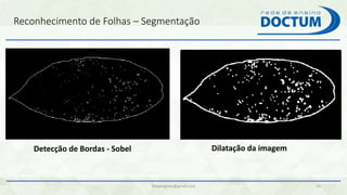 Reconhecimento de Folhas – Segmentação
felipengmec@gmail.com 33
Detecção de Bordas - Sobel Dilatação da imagem
 
