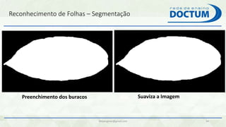 Reconhecimento de Folhas – Segmentação
felipengmec@gmail.com 34
Preenchimento dos buracos Suaviza a Imagem
 