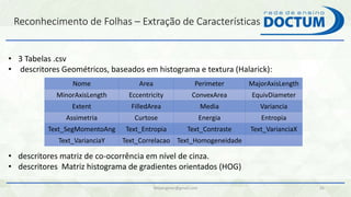 Reconhecimento de Folhas – Extração de Características
felipengmec@gmail.com 35
• 3 Tabelas .csv
• descritores Geométricos, baseados em histograma e textura (Halarick):
Nome Area Perimeter MajorAxisLength
MinorAxisLength Eccentricity ConvexArea EquivDiameter
Extent FilledArea Media Variancia
Assimetria Curtose Energia Entropia
Text_SegMomentoAng Text_Entropia Text_Contraste Text_VarianciaX
Text_VarianciaY Text_Correlacao Text_Homogeneidade
• descritores matriz de co-ocorrência em nível de cinza.
• descritores Matriz histograma de gradientes orientados (HOG)
 