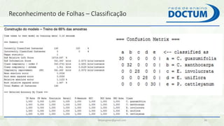 Reconhecimento de Folhas – Classificação
felipengmec@gmail.com 36
 