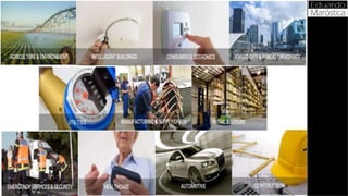 Palestra e business marostica