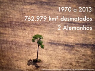 1970 a 2013
762.979 km² desmatados
2 Alemanhas
“O Futuro Climático da Amazônia”, encomendado pela Articulação Regional Amazônia
 