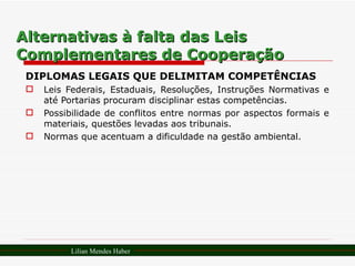 Alternativas à falta das Leis Complementares de Cooperação DIPLOMAS LEGAIS QUE DELIMITAM COMPETÊNCIAS Leis Federais, Estaduais, Resoluções, Instruções Normativas e até Portarias procuram disciplinar estas competências.  Possibilidade de conflitos entre normas por aspectos formais e materiais, questões levadas aos tribunais. Normas que acentuam a dificuldade na gestão ambiental. Lilian Mendes Haber 