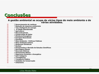 Conclusões A gestão ambiental se ocupa de vários tipos de meio ambiente e de várias atividades. * Gerenciamento de resíduos * Redução de impactos ambientais * Uso inteligente de energia *  A Cidade Abandonada * Agricultura * Biocombustíveis * Conservação de Solos * Eficiência Energética * Energias Renováveis * Florestas * Meio Ambiente - Políticas Públicas * Meio Ambiente Urbano * Mudanças Climáticas * Nuclear * Pensamentos e Revisão de Estudos Científicos * Reciclagem/Reuso * Recursos Hídricos * Saneamento Básico * Segurança Aimentar e Energética * Sem Categoria * Transgênicos * Transporte Público * Unidades de Conservação * Urbanismo Lilian Mendes Haber 