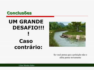 Conclusões UM GRANDE DESAFIO!!!! Caso contrário: Se você pensa que a poluição não o afeta pense novamente Lilian Mendes Haber 