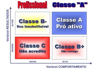 CARREIRA PROFISSIONAL À LUZ DA BÍBLIAPERFIL DOS PROFISSIONAIS CLASSE “A”